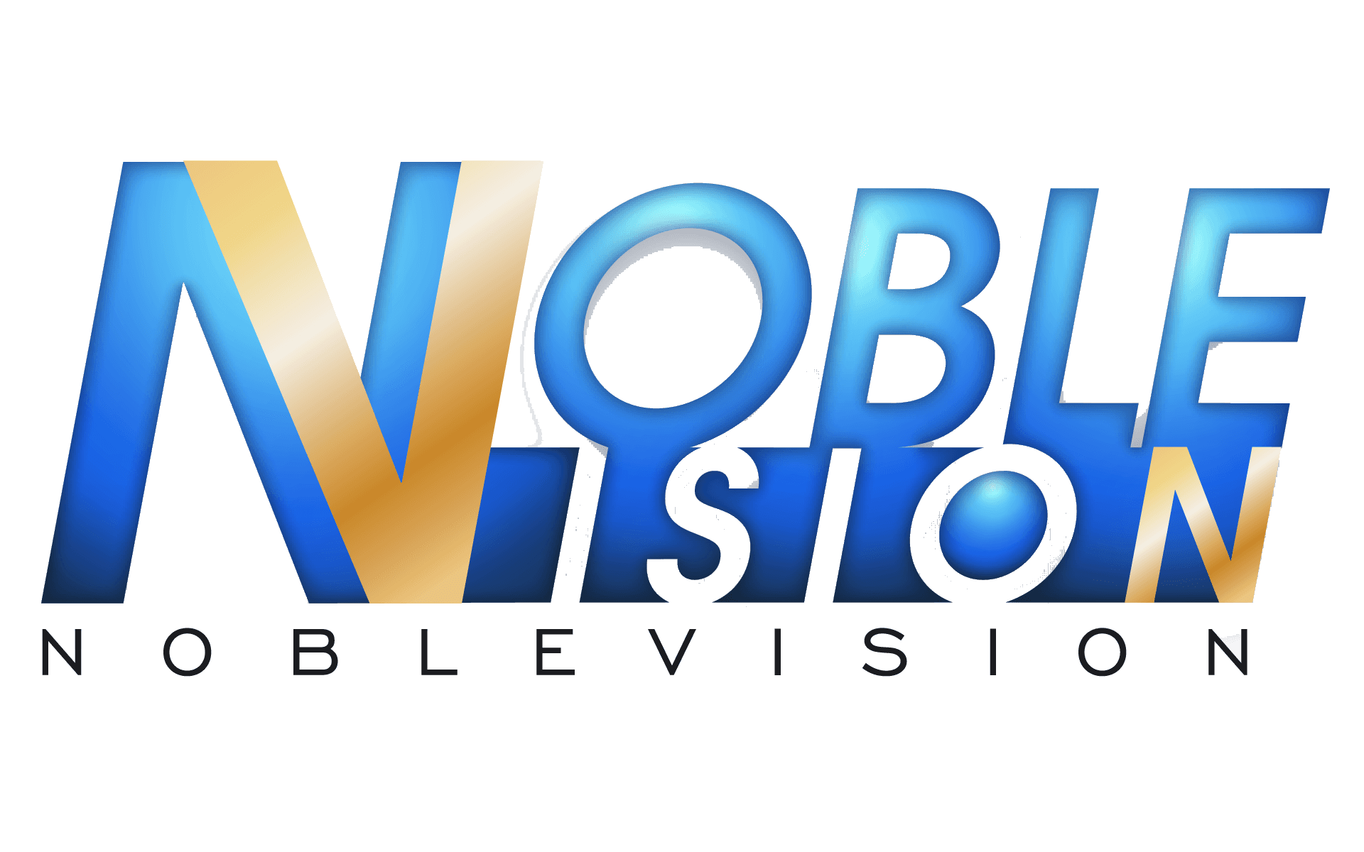 Noble Vision logo